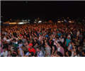 dsc0096-3.jpg